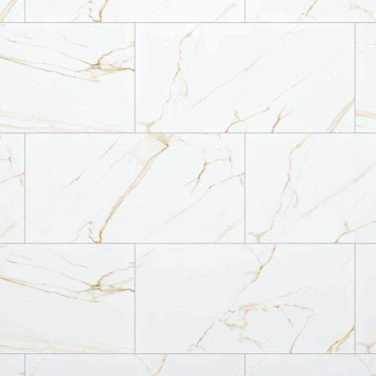 Gạch Đồng Tâm Porcelain 4080GECKO002