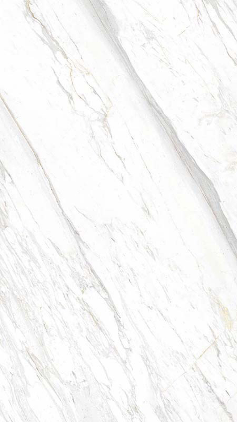 Gạch Eurotile 60x120 SIG P61201