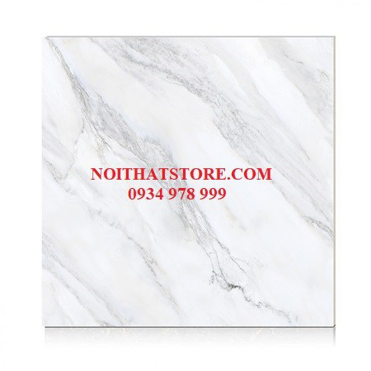 Gạch Hoàn Mỹ 100x100 vi tinh 55002