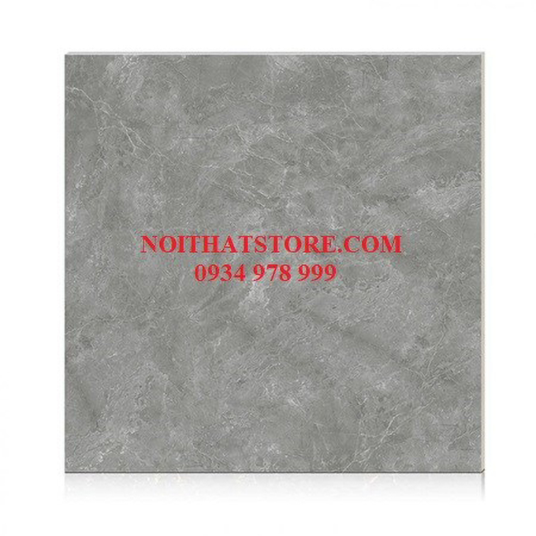 Gạch Hoàn Mỹ 100x100 vi tinh 55006