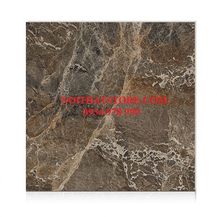 Gạch Hoàn Mỹ 100x100 vi tinh 55007