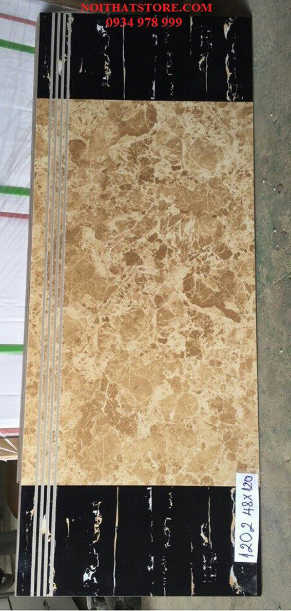Gạch lát cầu thang 47x100 1202
