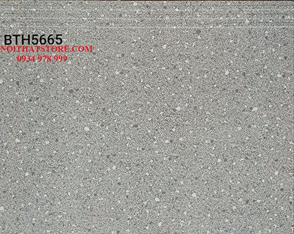 Gạch lát cầu thang 50x60 BTH5665