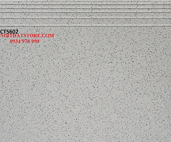 Gạch lát cầu thang 50x60 CT5602