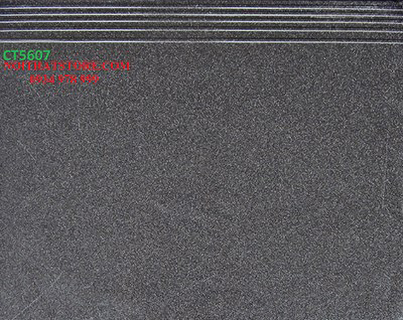 Gạch lát cầu thang 50x60 CT5607