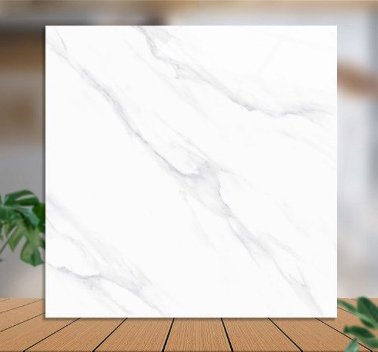 Gạch lát nền Catalan 100x100 10015