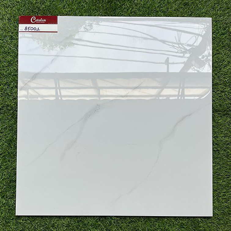 Gạch lát nền Catalan 800x800 85001