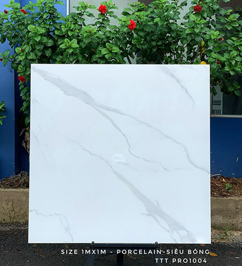 Gạch lát nền CMC 100x100 TTT PRO1004