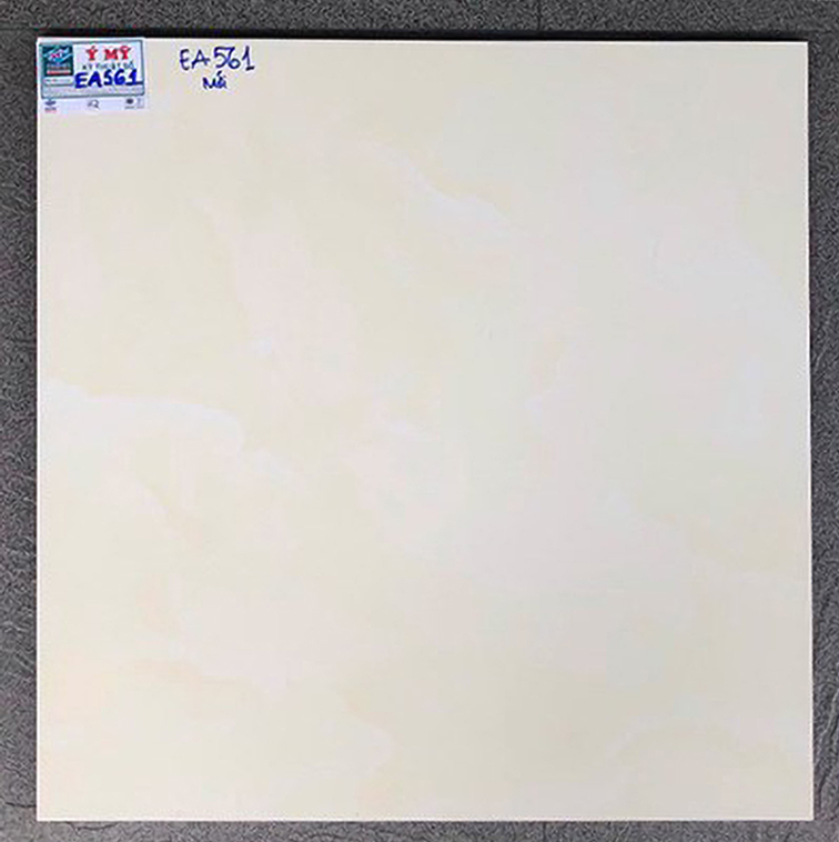 Gạch lát nền giá rẻ 50x50 Ý Mỹ EA561