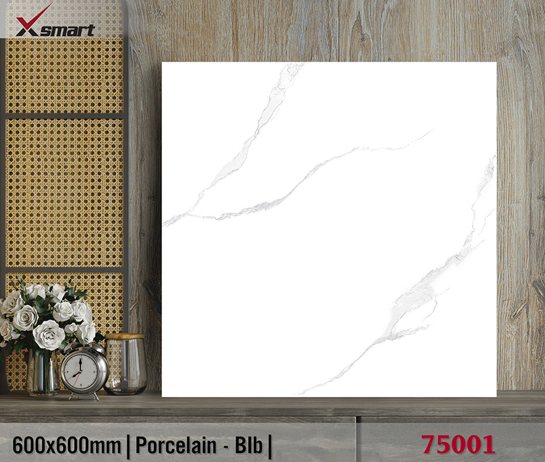 Gạch lát nền giá rẻ 60x60 Catalan XS 75001