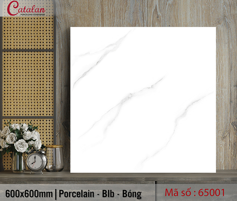 Gạch lát nền giá rẻ Catalan 60x60 65001