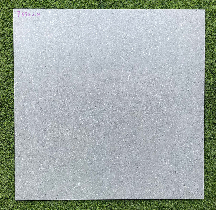 Gạch lát nền Pancera 60x60 P6522M mờ