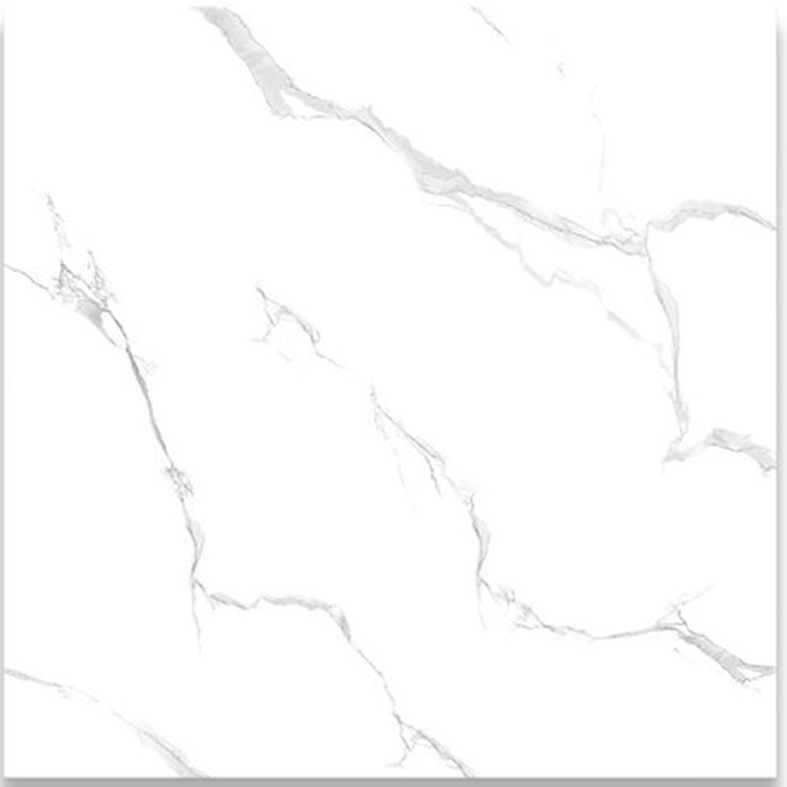 Gạch lát nền Phương Nam 60x60 DPL601