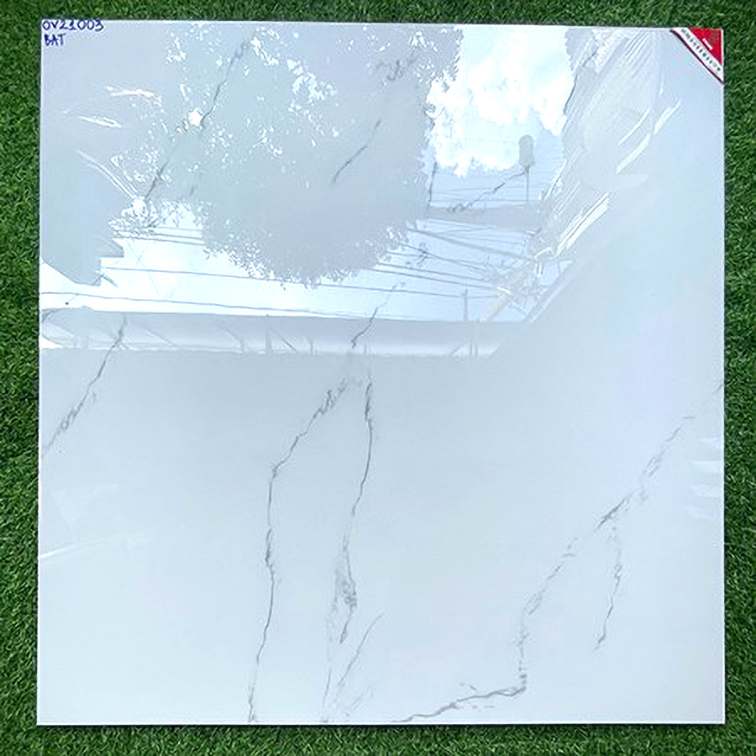 Gạch lát nền Prime 100x100 OV21003