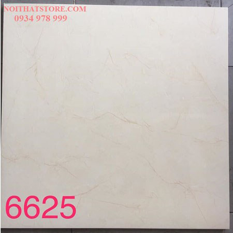 Gạch lát nền Tasa 60x60 6625