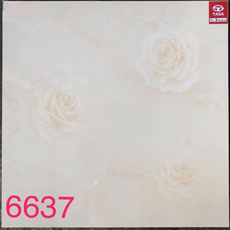 Gạch lát nền Tasa 60x60 6637