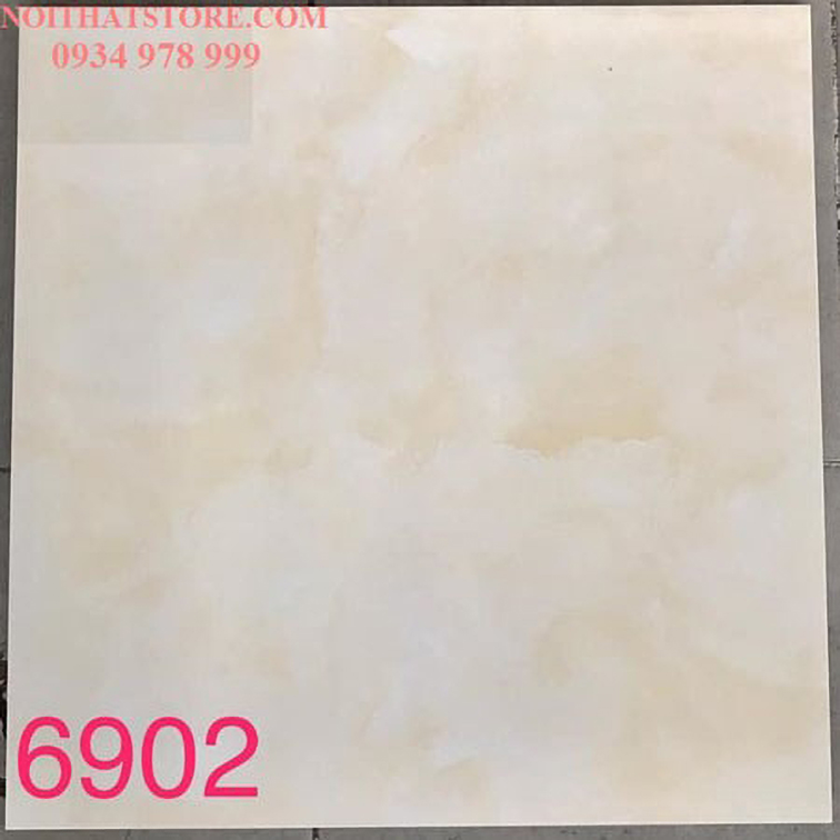 Gạch lát nền Tasa 60x60 BD6902