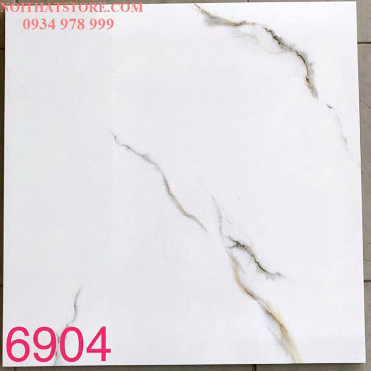 Gạch lát nền Tasa 60x60 BD6904