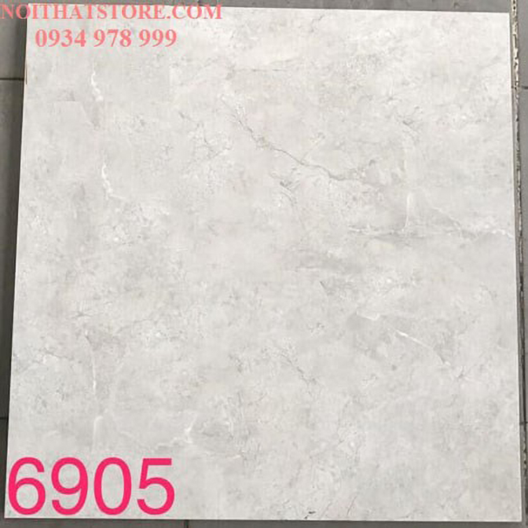 Gạch lát nền Tasa 60x60 BD6905