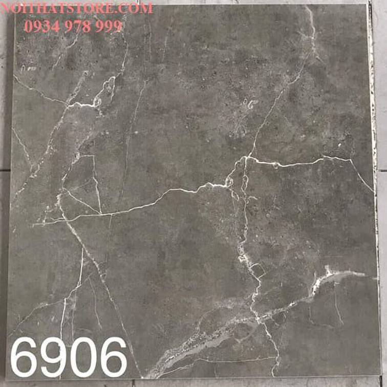 Gạch lát nền Tasa 60x60 BD6906
