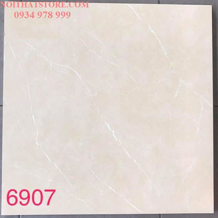 Gạch lát nền Tasa 60x60 BD6907