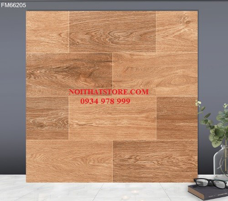 Gạch lát nền TTC 60x60 FM66205