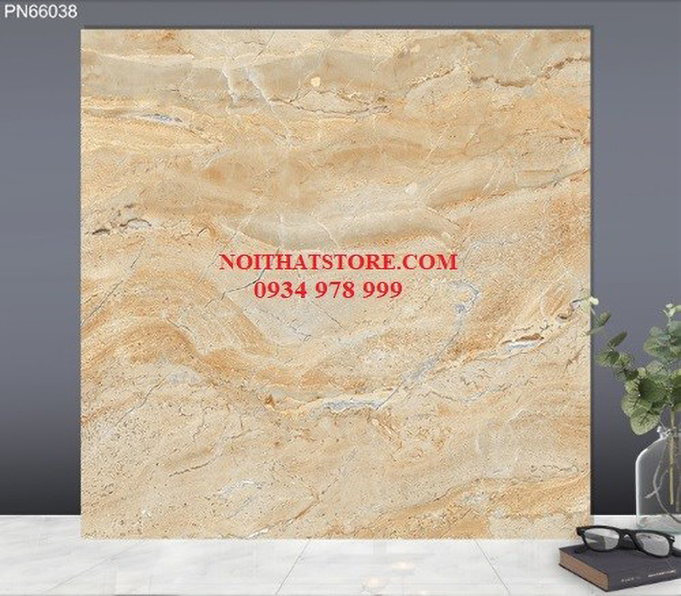 Gạch lát nền TTC 60x60 PN66038