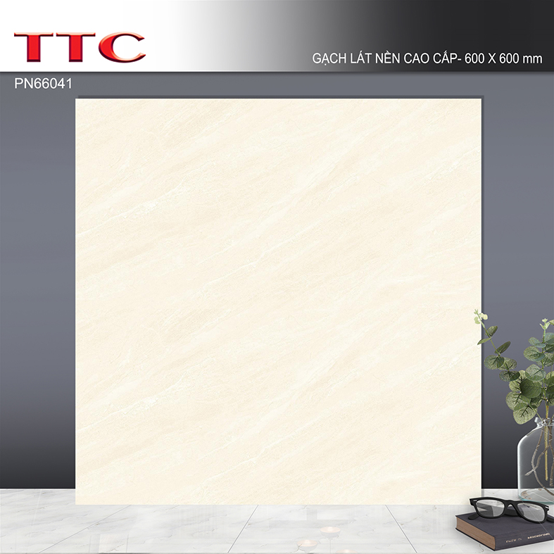 Gạch lát nền TTC 60x60 PN66041