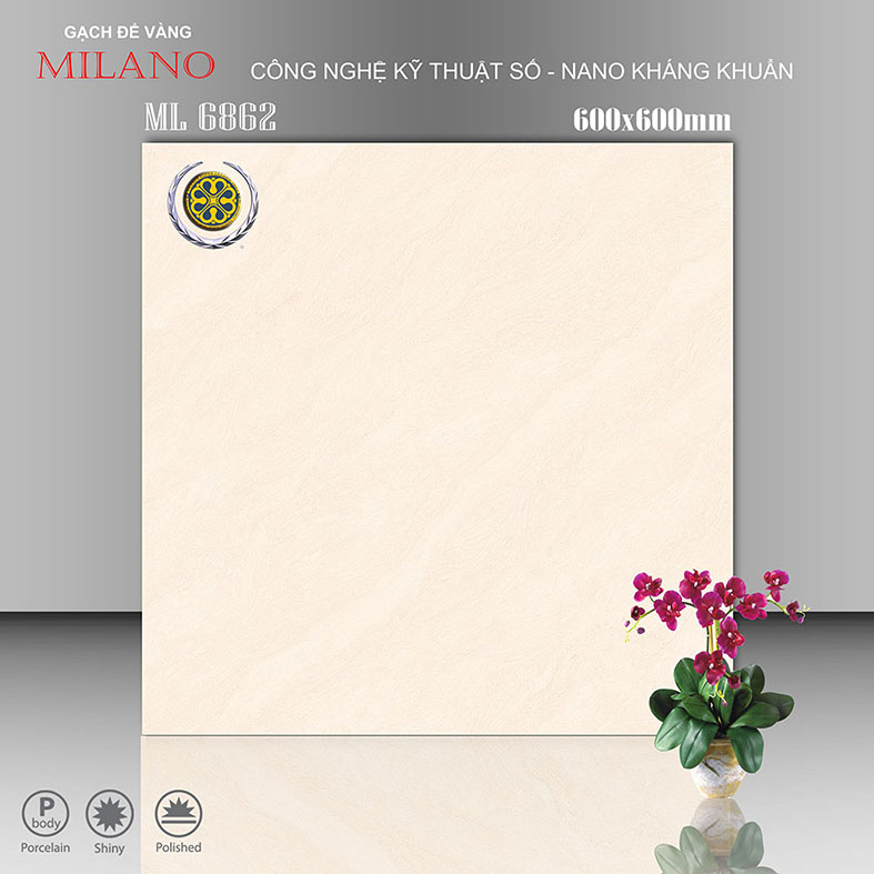 Gạch lát nền Vicenza 60x60 ML 6862