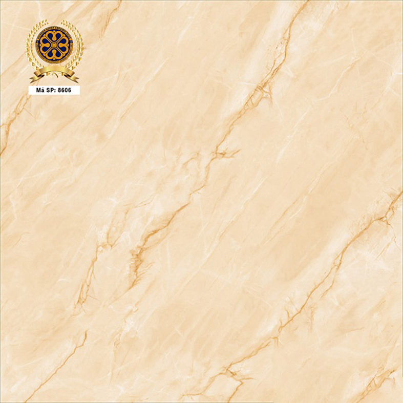 Gạch lát nền Vicenza 80x80 8606