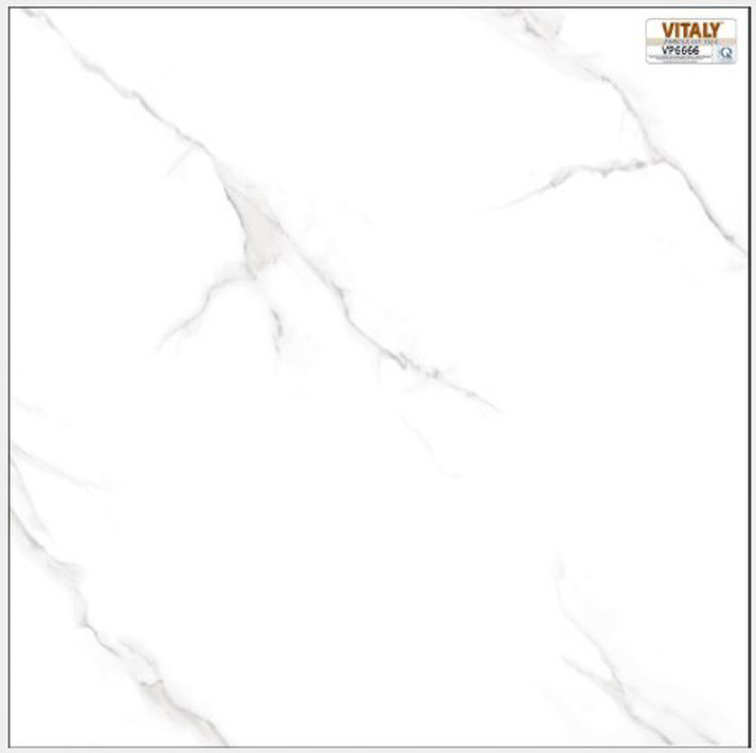 Gạch lát nền Vitaly 60x60 VP6666