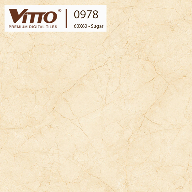 Gạch lát nền Vitto 60x60 0978