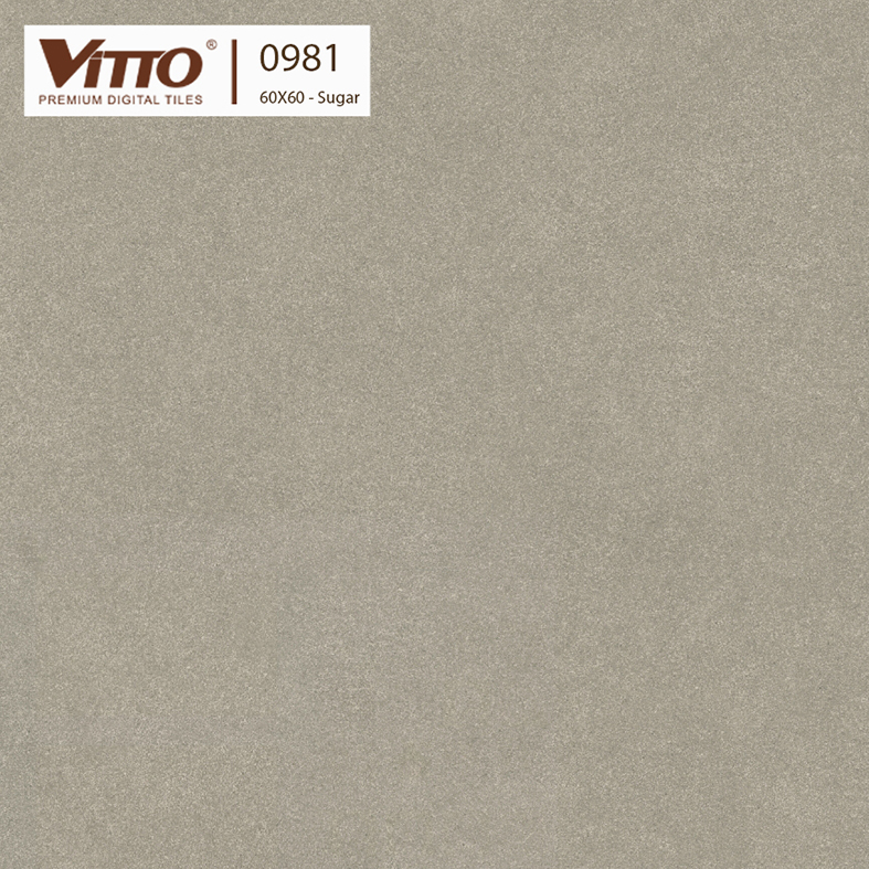 Gạch lát nền Vitto 60x60 0981