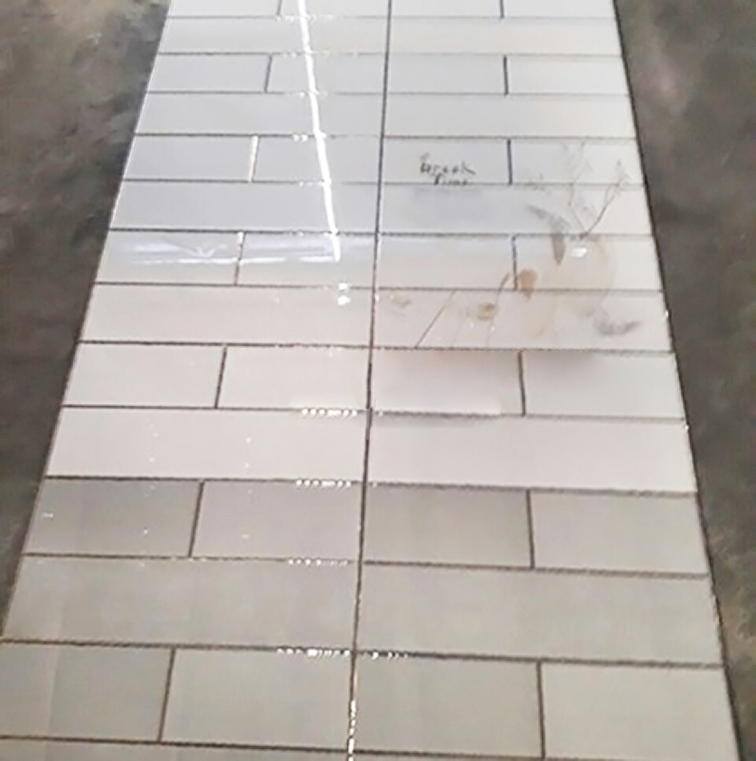 Gạch men kính Trung Quốc 30x60 96061