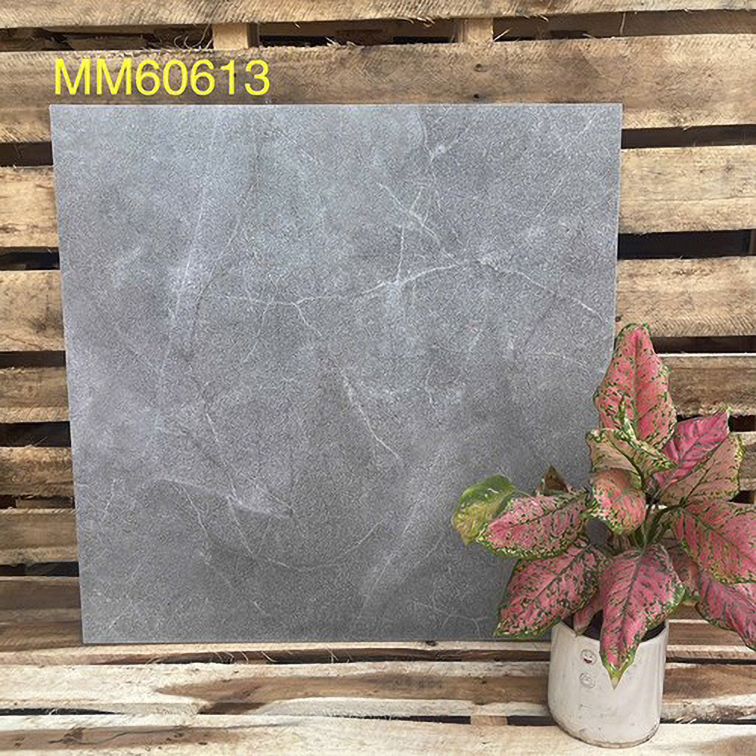 Gạch men mờ giá rẻ 60x60 Phương Nam MM60613