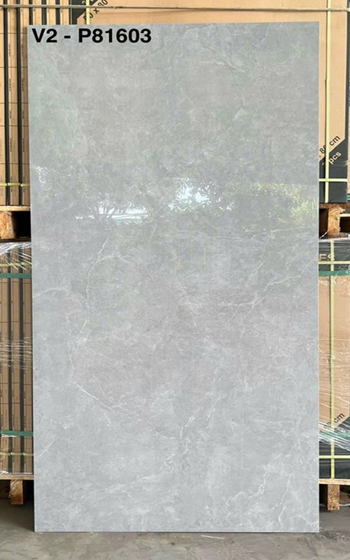 Gạch ốp lát 80x160 Viglacera V2-P81603