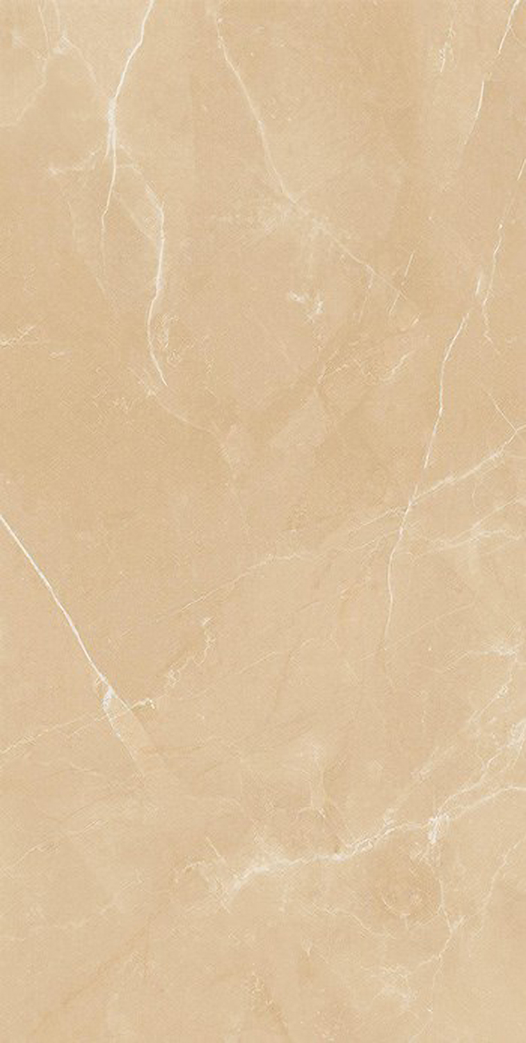 Gạch ốp lát Apodio 60x120 61182048
