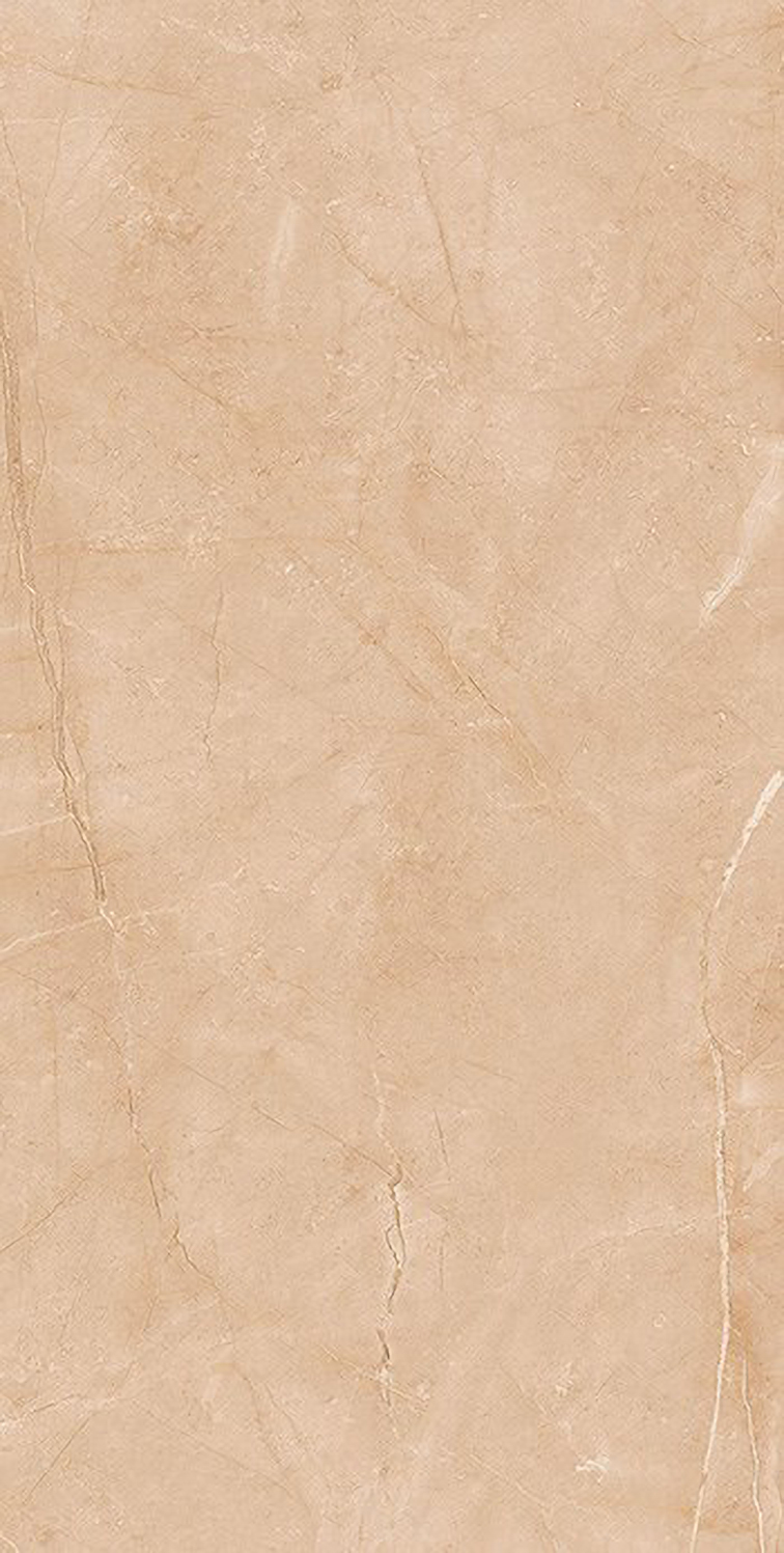 Gạch ốp lát Apodio 60x120 61183024