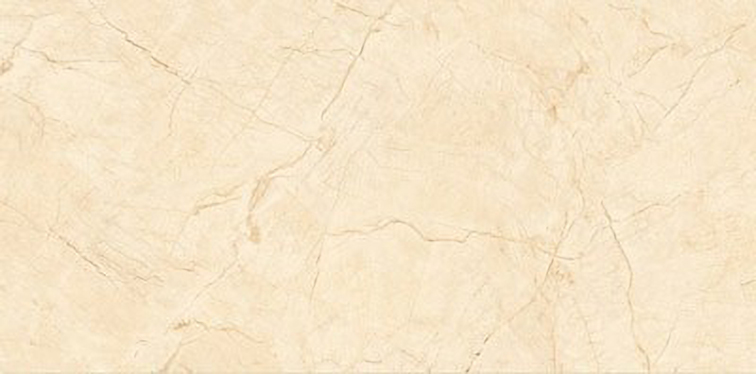 Gạch ốp lát Catalan 60x120 CTN-1208
