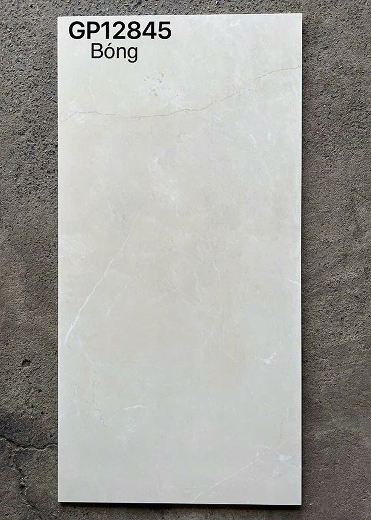 Gạch ốp lát Taicera 60x120 GP12845