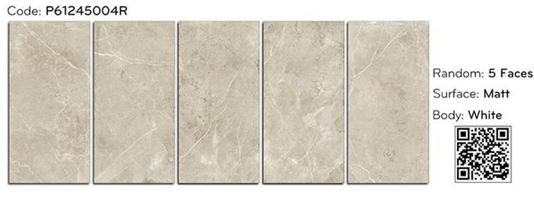 Gạch ốp lát Ý Mỹ 60x120 mờ P61245004R