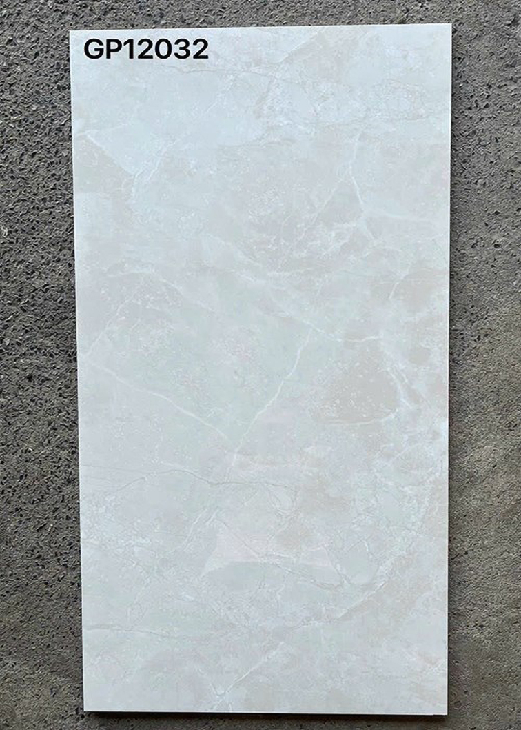 Gạch ốp lát Taicera 60x120 mờ G12032