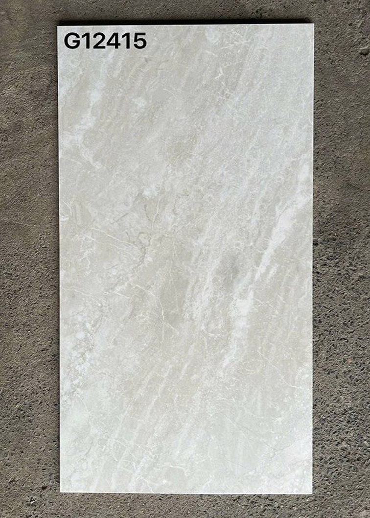Gạch ốp lát Taicera 60x120 mờ G12415