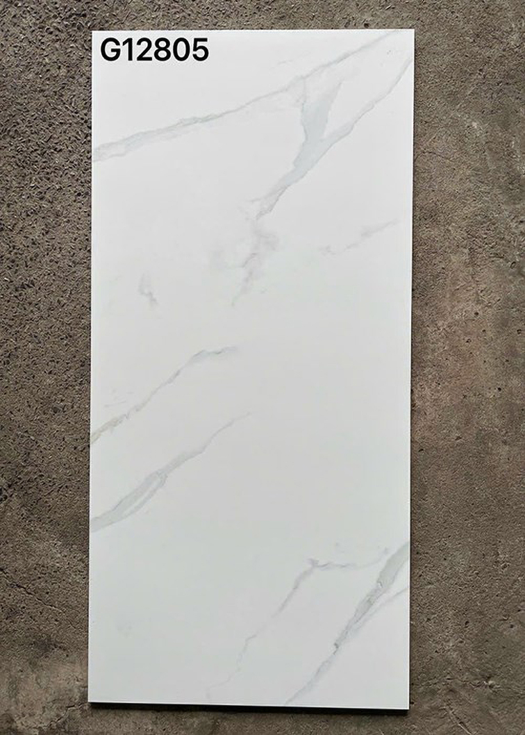 Gạch ốp lát Taicera 60x120 mờ G12805