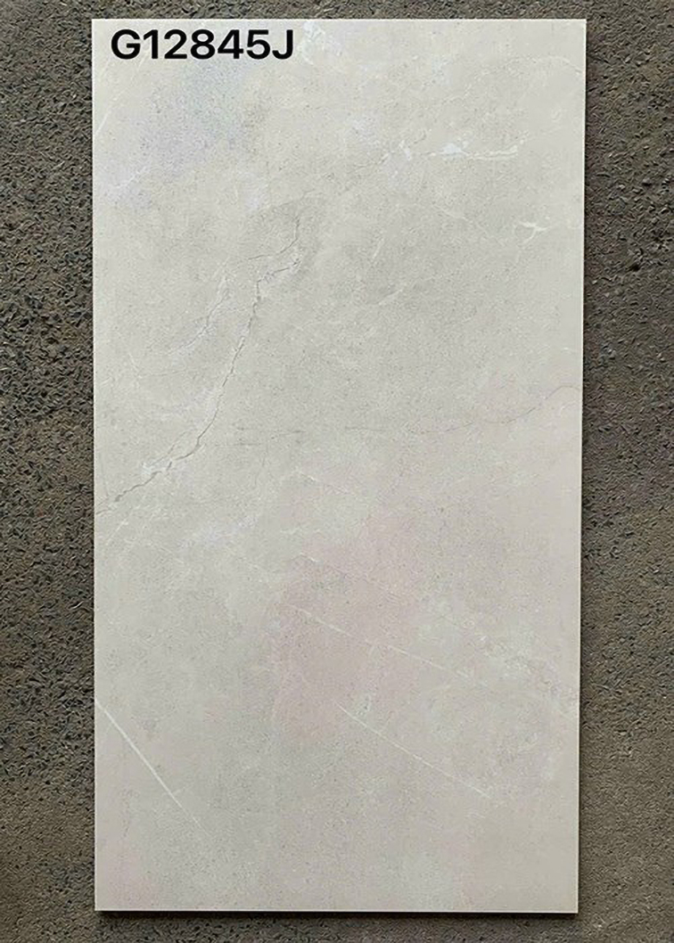 Gạch ốp lát Taicera 60x120 mờ G12845J