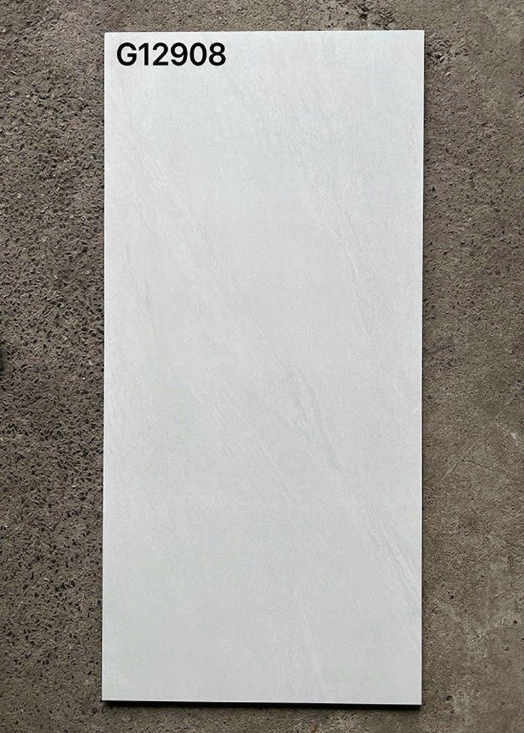Gạch ốp lát Taicera 60x120 mờ G12908
