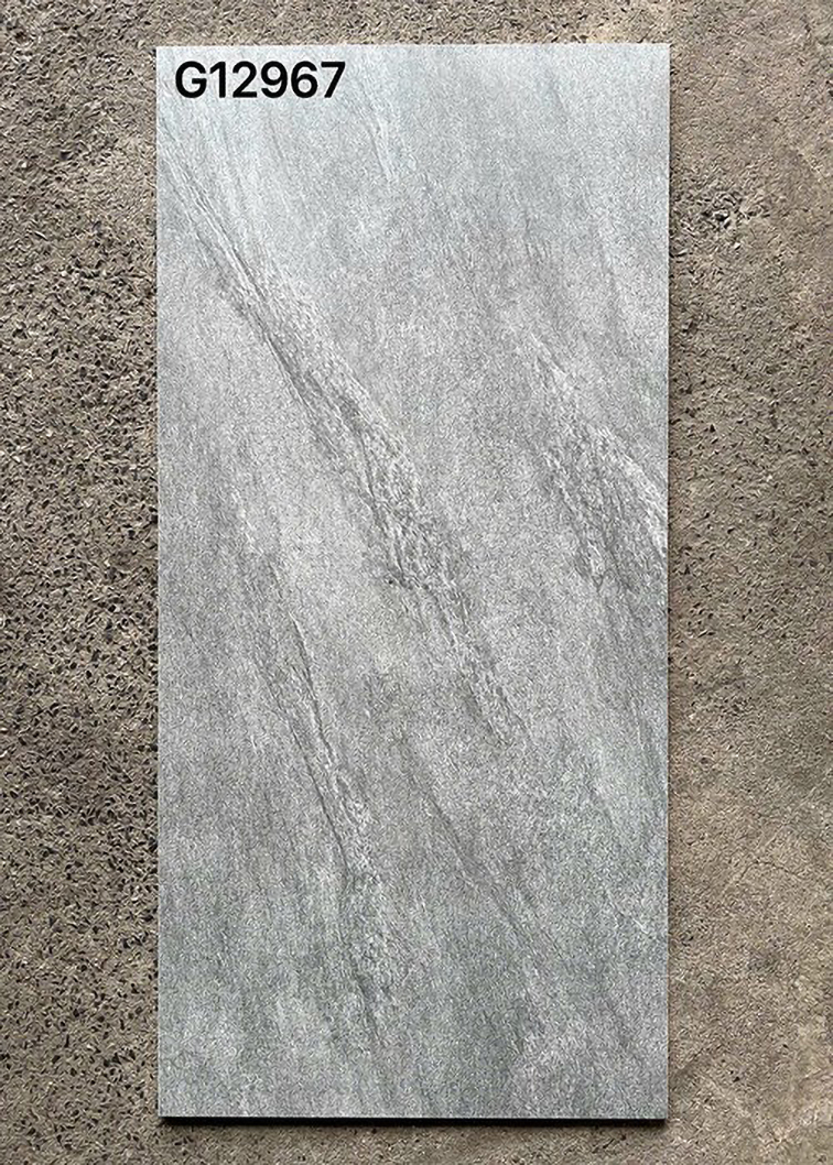 Gạch ốp lát Taicera 60x120 mờ G12967
