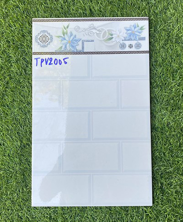 Gạch ốp tường giá rẻ 25x40 TPV2005