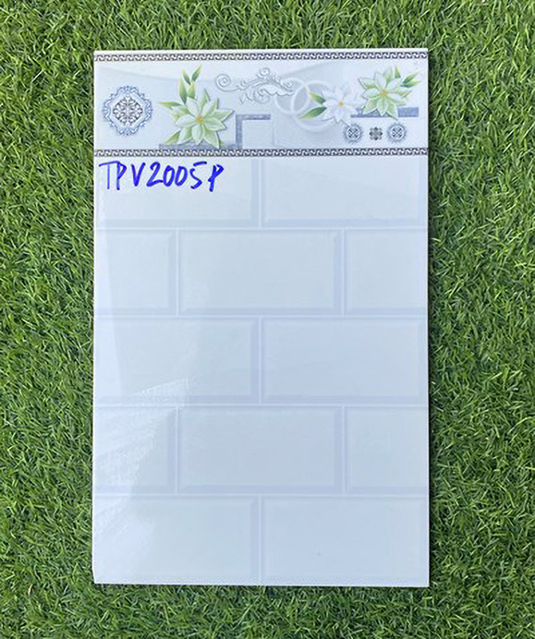 Gạch ốp tường giá rẻ 25x40 TPV2005P