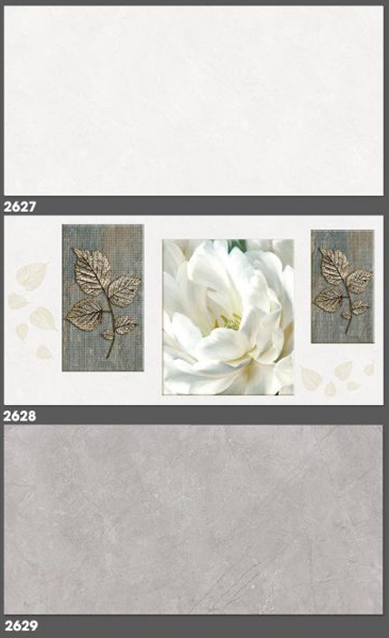 Gạch ốp tường Tasa 30x60 2627-2628-2629